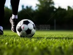 世预赛风云,再起,细节决定胜,九游体育官网,JiuYou,SPORTS,九游体育中国官网,JiuYou体育平台,九游体育服务