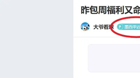 贝尔塔计划今夏为阿森纳寻购关键前锋，目标明确